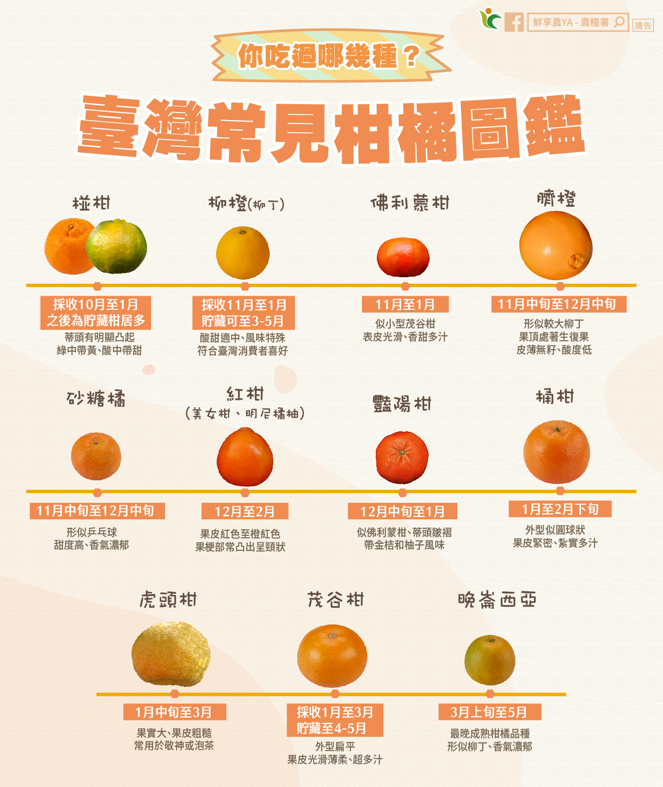 台灣常見柑橘種類。(圖/翻攝自農糧署臉書)