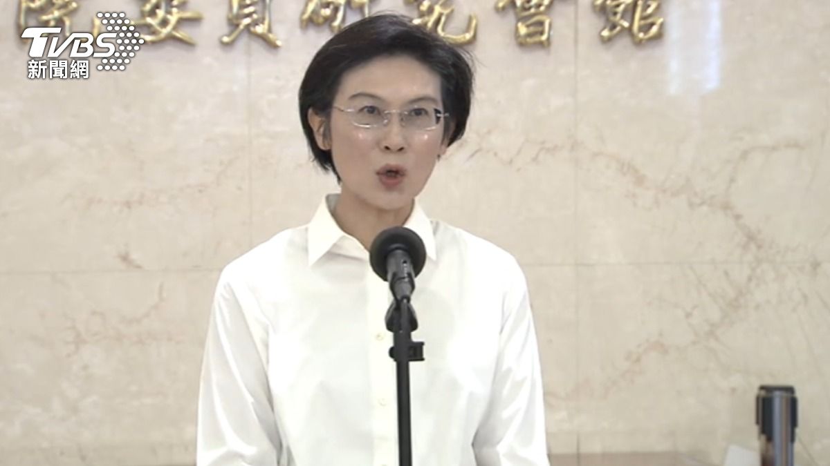 民進黨立委林岱樺。(圖/TVBS)