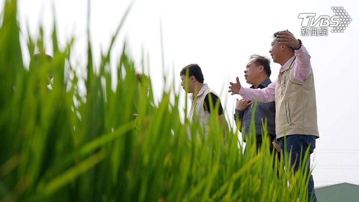 許智傑曾當過鳳山市長,有行政經驗,以「AI首都」為訴求,希望打造智慧農業。(圖/TVBS)