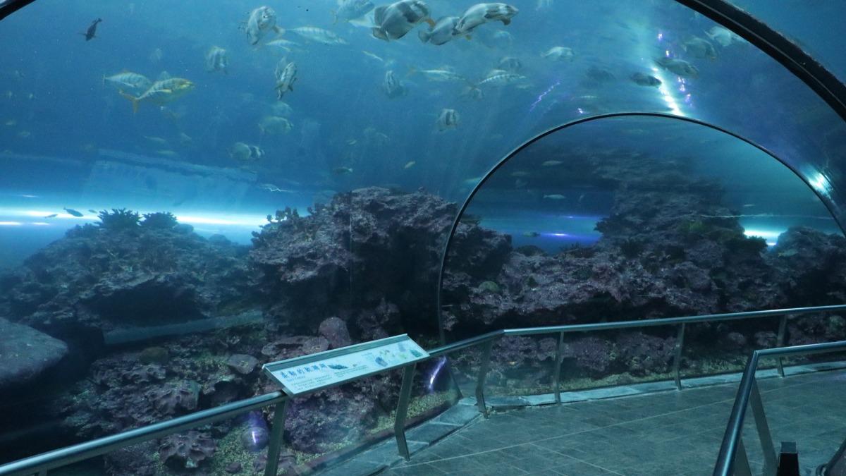 海生館為亞洲知名的大型海洋生物主題博物館。（圖／翻攝自國立海洋生物博物館FB）