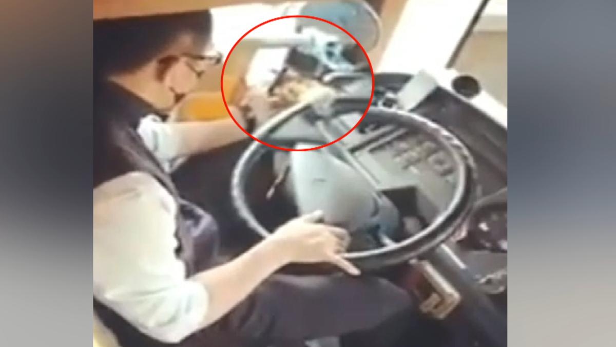 劉姓司機被查出多次出包還被告,甚至2度被開除,如今再度打人出事。(圖/翻攝臉書@爆料公社)