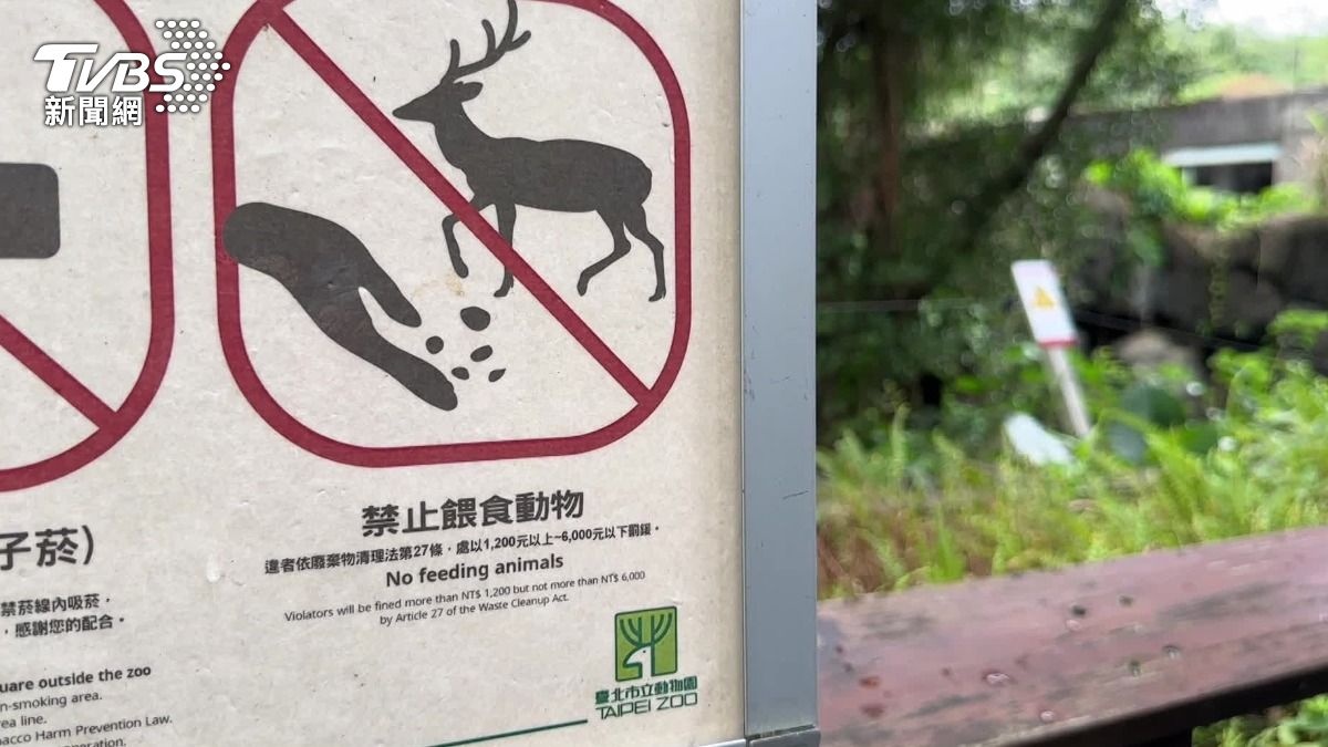 動物園展場周邊都有立警告標示，動物園透露近期亂餵食的遊客少很多，違規的都是少數。（圖／TVBS）