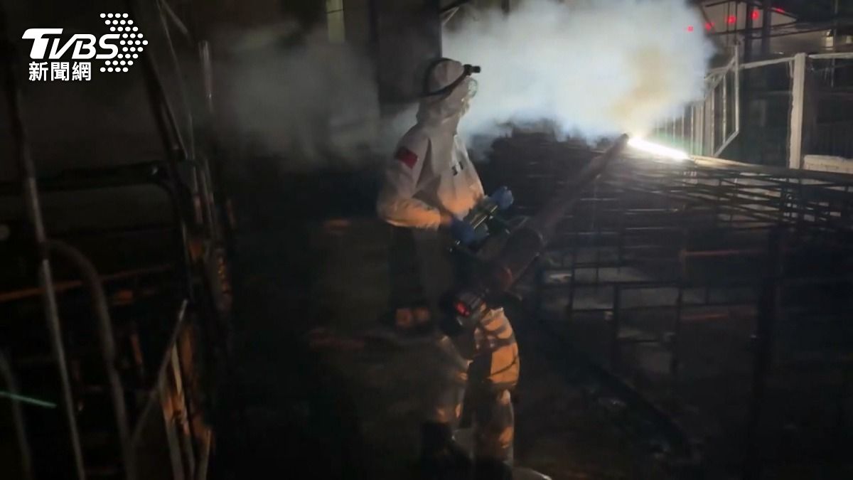  化學兵進豬場消毒 確診基因與中國.越南相似。(圖／TVBS) 
