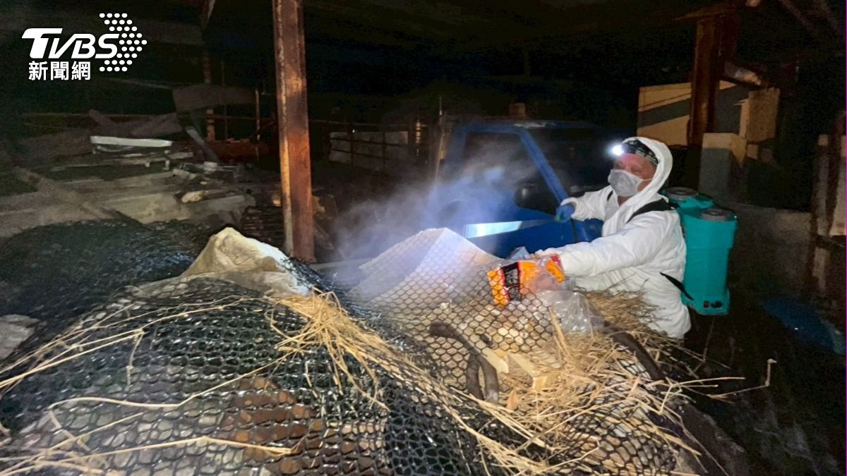 台中非洲豬瘟「蒸煮廚餘照造假」 黑心豬農父子起訴