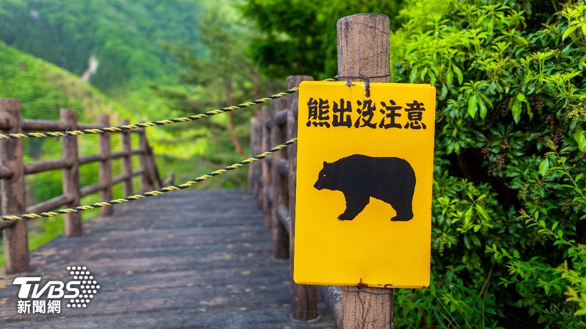 許多動保人士表示射殺太過殘忍,應該要有其他替代方案。(示意圖/達志影像shutterstock)