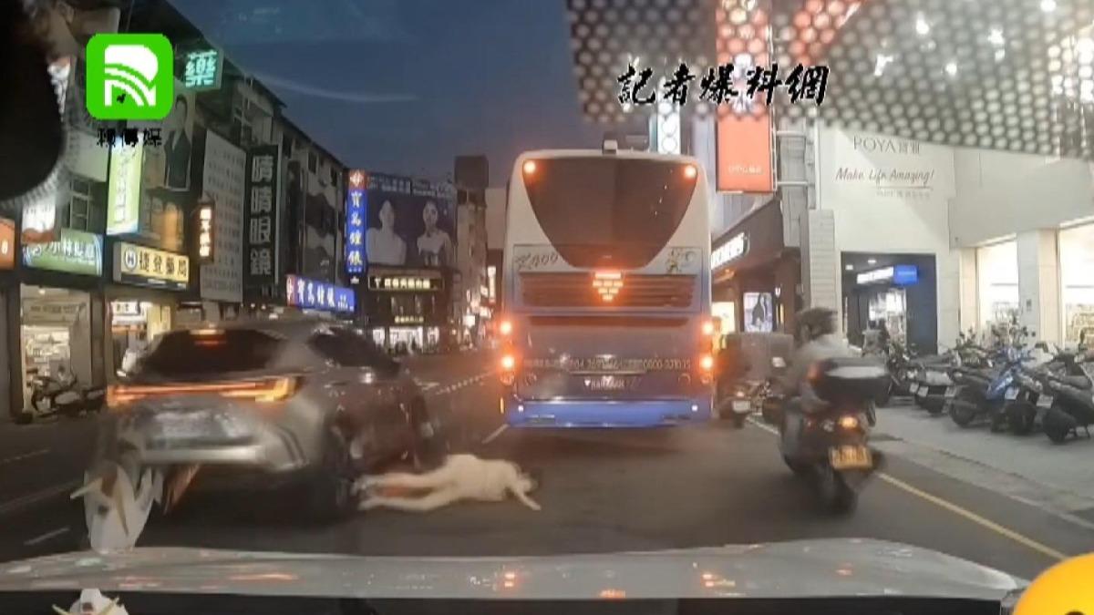 婦人從店家出來後,從車縫中穿越馬路被撞倒在地。(圖/記者報料網)
