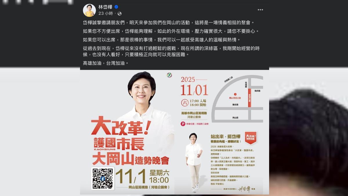 林岱樺的最新宣傳圖僅剩下她一人。（圖／翻攝自林岱樺臉書）