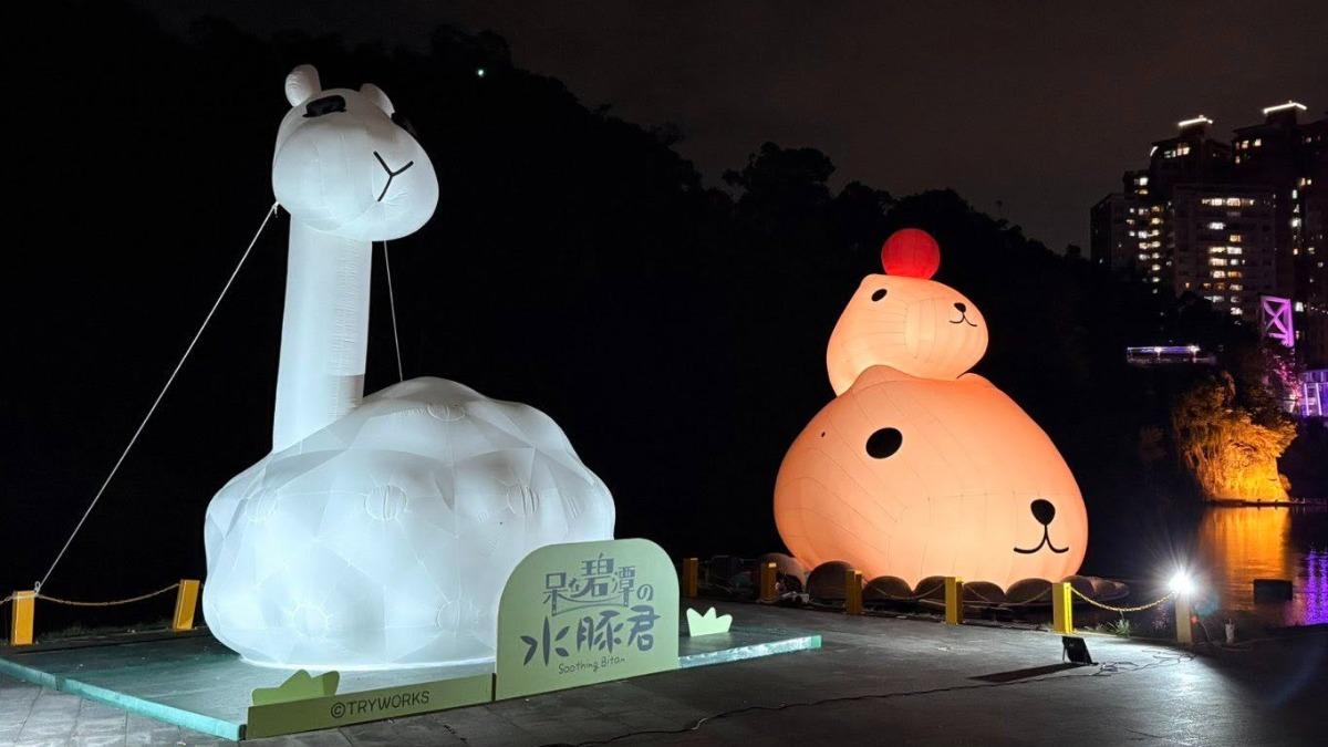 除了水豚君，還有他的好朋友們。（圖／翻攝自新北旅客）