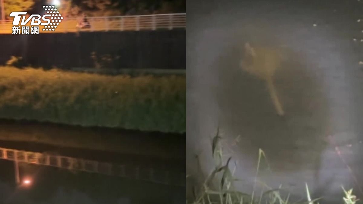 高雄男詭拎麻布袋扔河中！民眾以為棄屍虛驚　內容物曝恐罰百萬