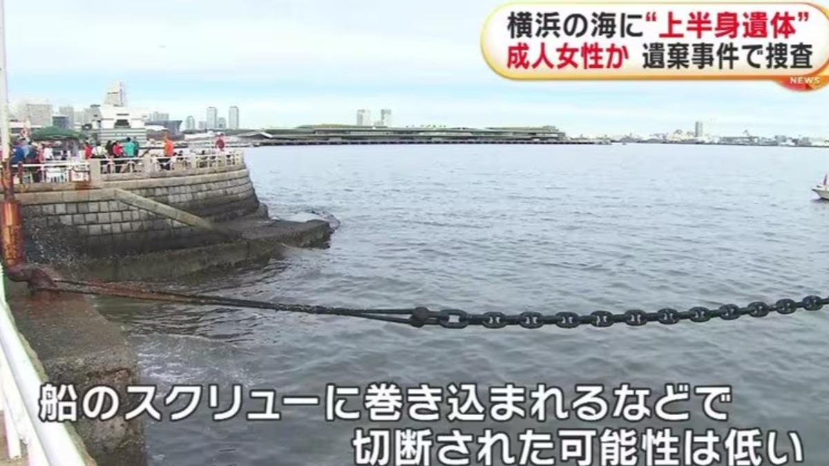 山下公園以能夠一覽橫濱港海上風光的景色而聞名。(圖/翻攝 FNN)
