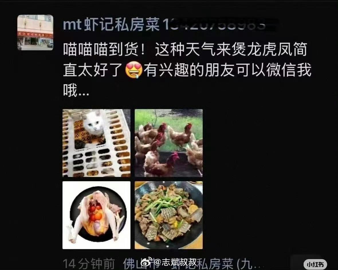 「蝦記私房菜」發文並附上2隻貓遭關在籠中的照片。(圖/翻攝自微博)