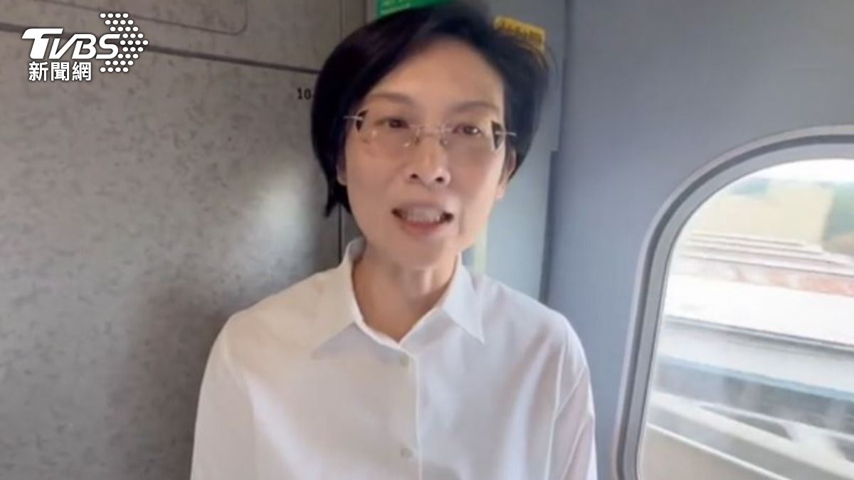 民進黨立委林岱樺。(圖/TVBS)