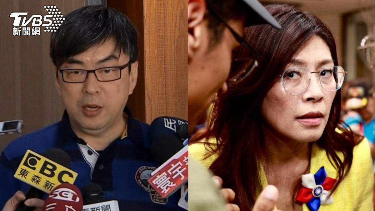 民進黨前立委段宜康過去與國民黨新任主席鄭麗文熟識。（圖／TVBS）