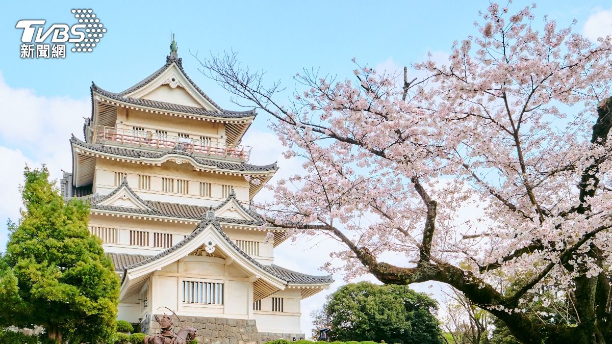 日本熊害蔓延!本州唯一「無熊」淨土曝 安心旅遊免驚