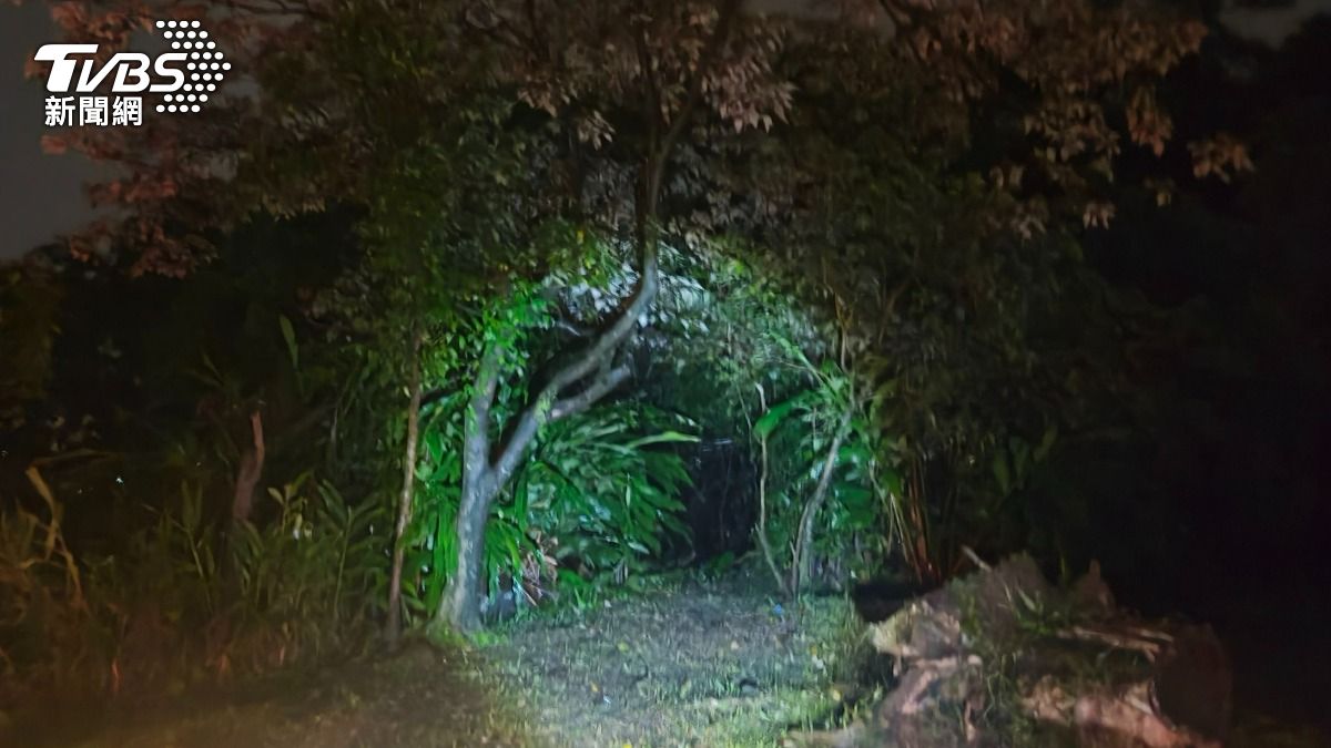 基隆癲癇病史17歲少女「離奇走到深山」 深夜墜山坡遭樹重壓