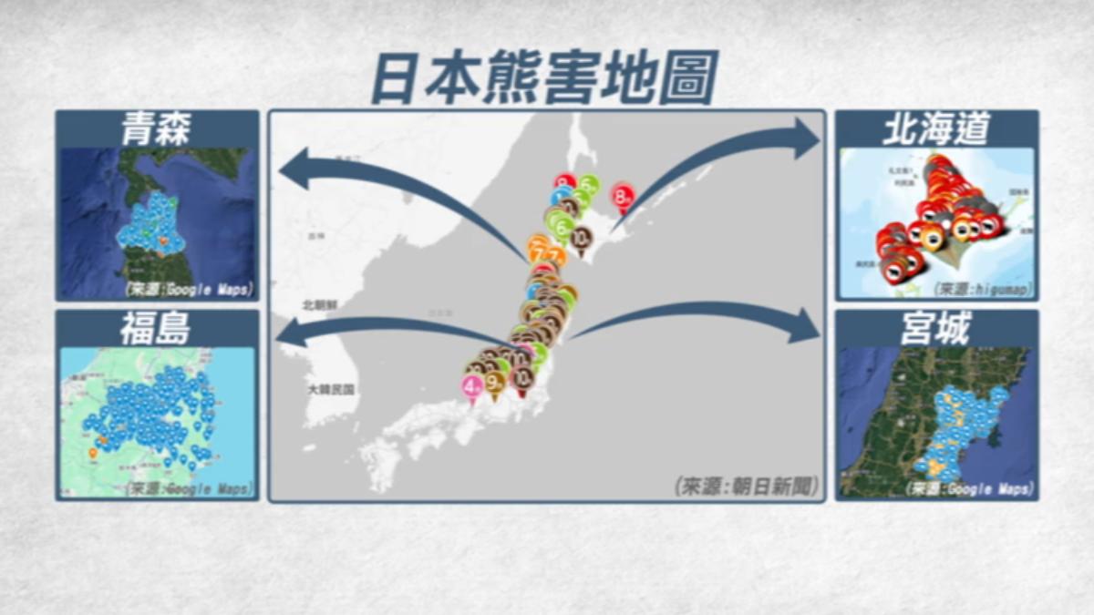 日本近期熊害嚴重。(圖/TVBS)