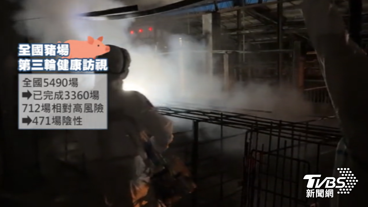非洲豬瘟暫無外擴情形。(圖/TVBS)