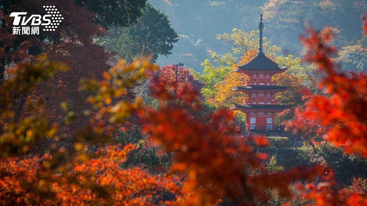 品嘗京都慢時光 從茶香到冥想的靜奢旅行