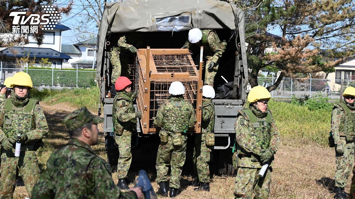 日本自衛隊秋田駐屯地人員30日進行驅熊訓練時,從軍用卡車上卸下熊籠。(圖/達志影像美聯社)
