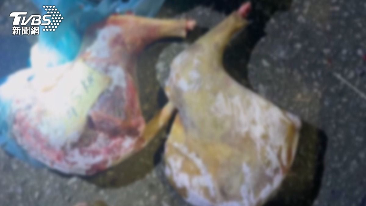 冰箱中發現疑似保育類水鹿被支解後的遺骸。(圖/TVBS)