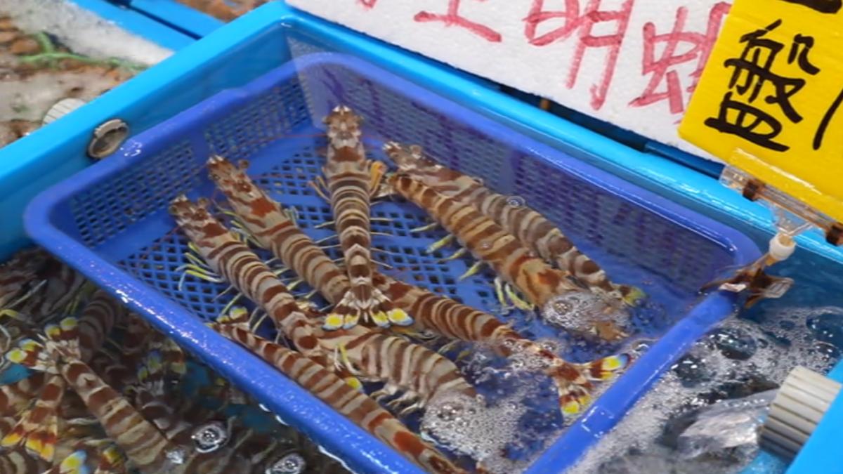 明蝦因為大多都是野生的較稀有,因此價格較高。(圖/TVBS)