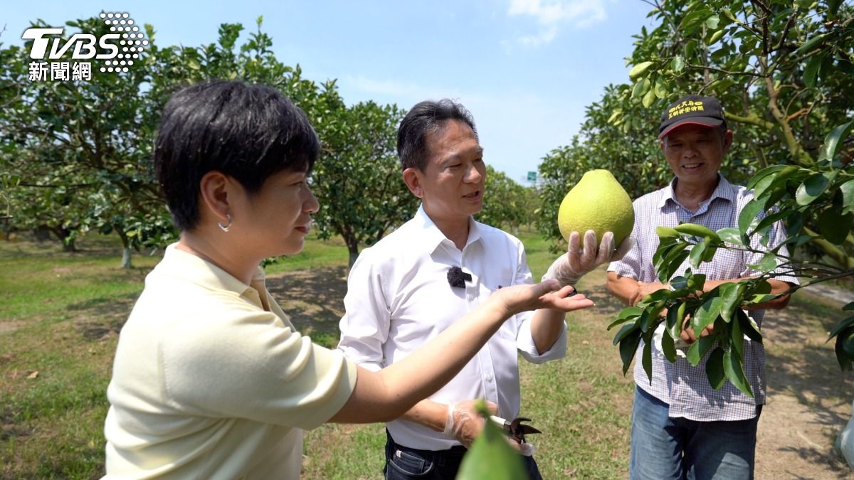 幫柚子找通路 : 林俊憲的五指神功，證明柚子多汁、好吃。（圖／柯勝雄攝）