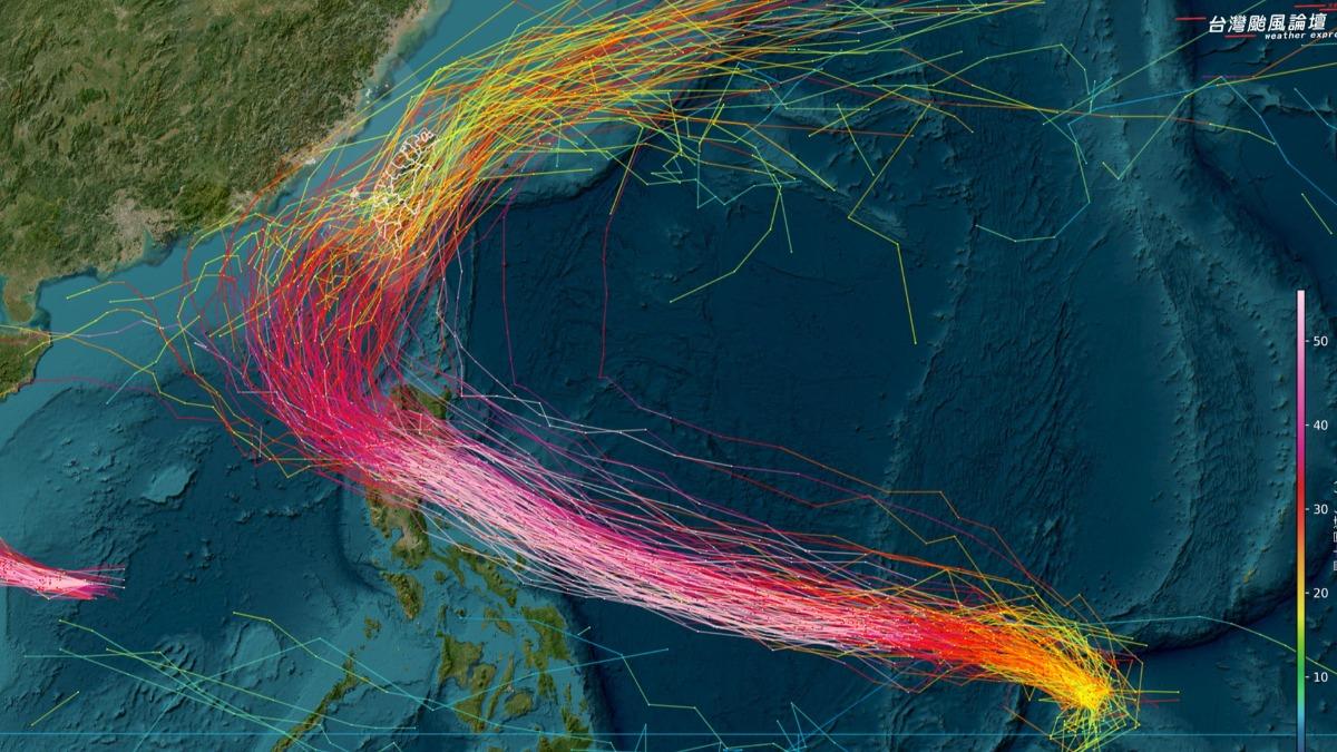 「颱風鳳凰」歐洲模式(EC)與Google AI模式(GenCast、FNV3)的系集預測結果。(圖/翻攝自「台灣颱風論壇|天氣特急」)