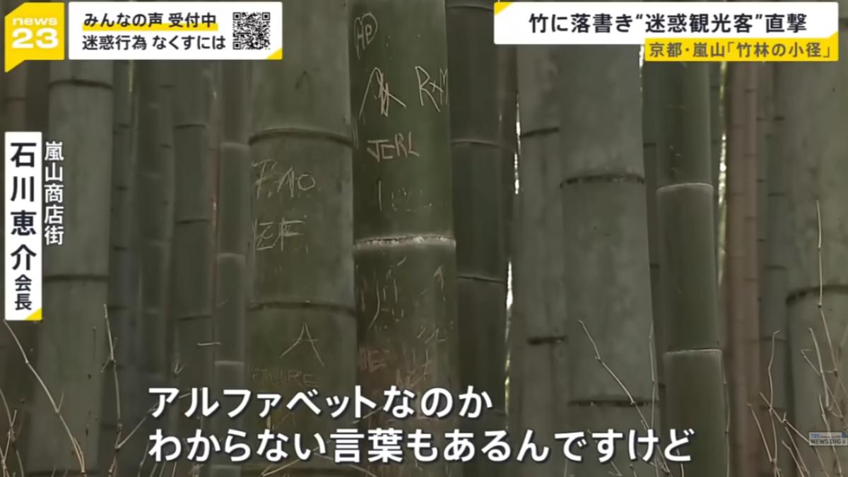 京都嵐山竹子遭塗鴉!當局擬「砍部分竹林」 日媒直擊外國客闖私宅