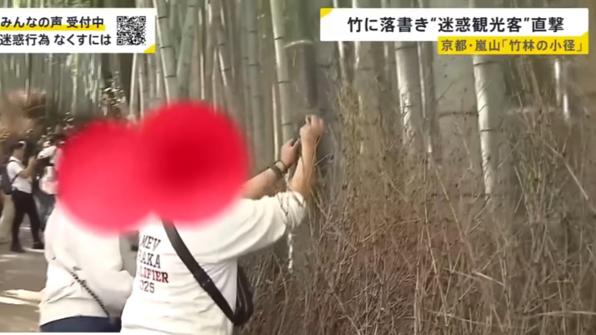 外籍遊客在竹子上塗鴉。(圖/翻攝自TBS)