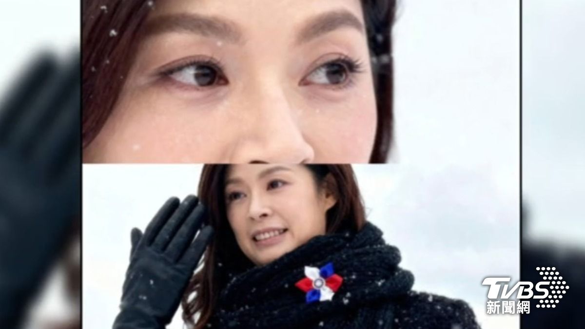 鄭麗文AI賞雪圖(圖/TVBS資料畫面)
