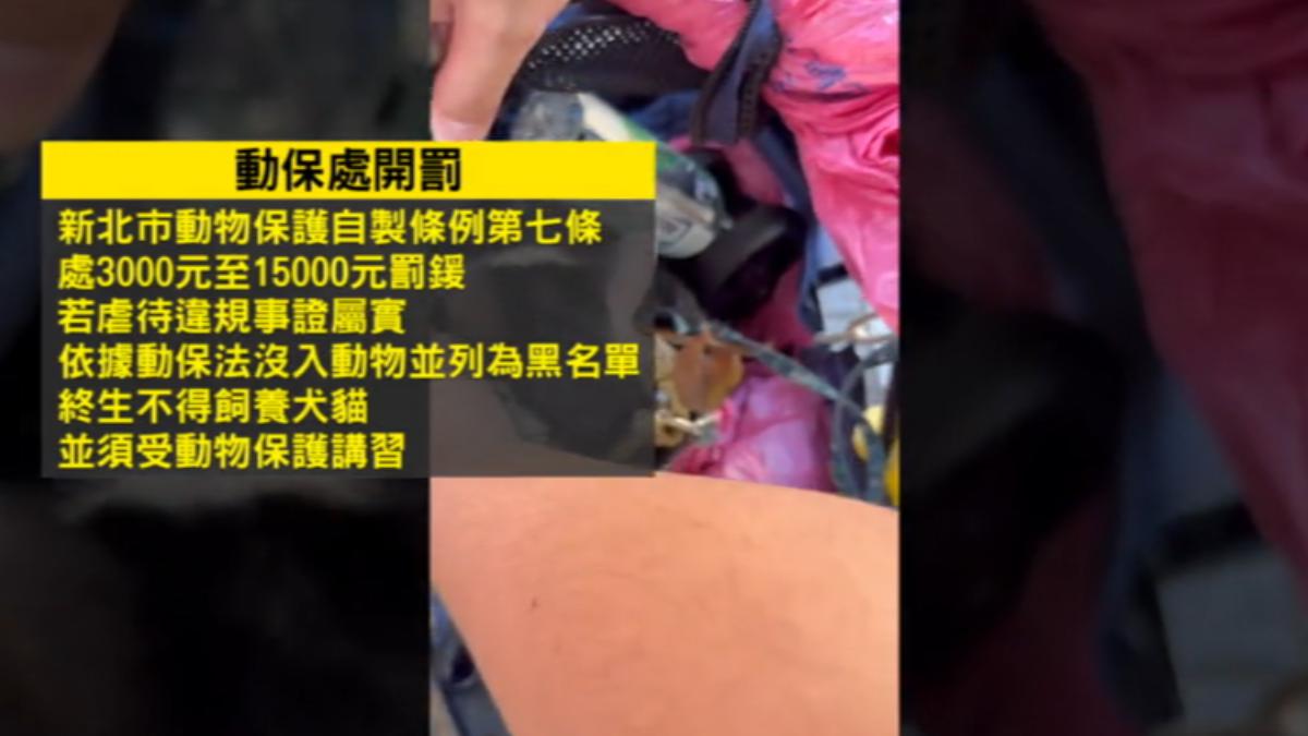 飼主面臨罰則。(圖/民眾提供)
