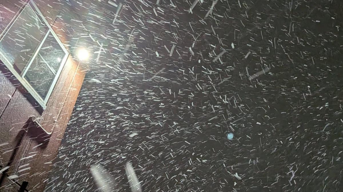 北海道札幌8日晚上迎來初雪。(圖/threads@ma_ma1038授權)