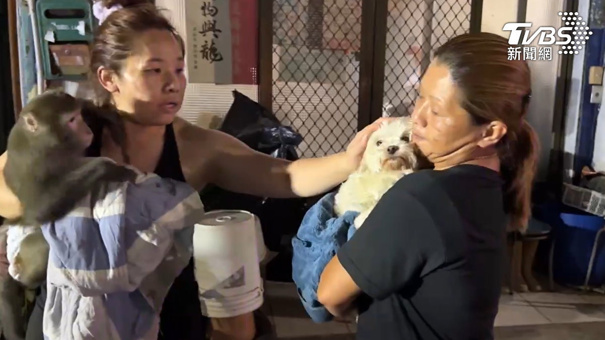 高雄前鎮區衙華街凌晨發生火警，火場中一隻受驚的猴子緊抱主人逃生，另有一隻小狗隨後也被救出。（圖／TVBS）