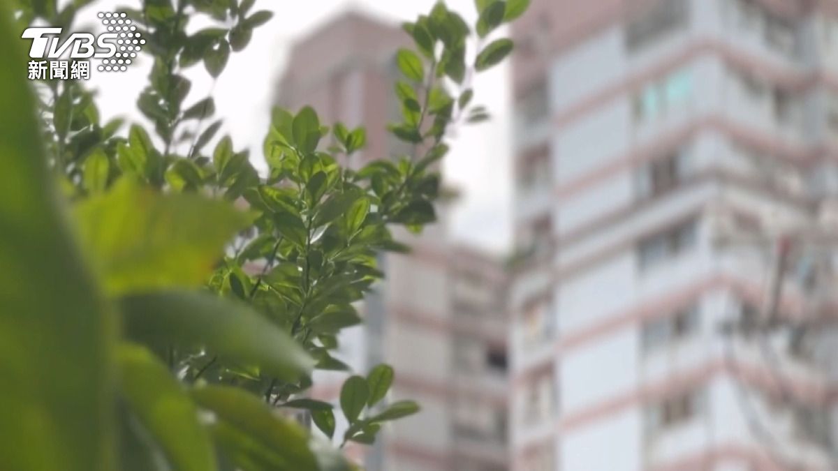 彰化痛心母女雙亡!照顧脊椎開刀母壓力大 46歲女留遺書墜樓身亡。(圖/TVBS)