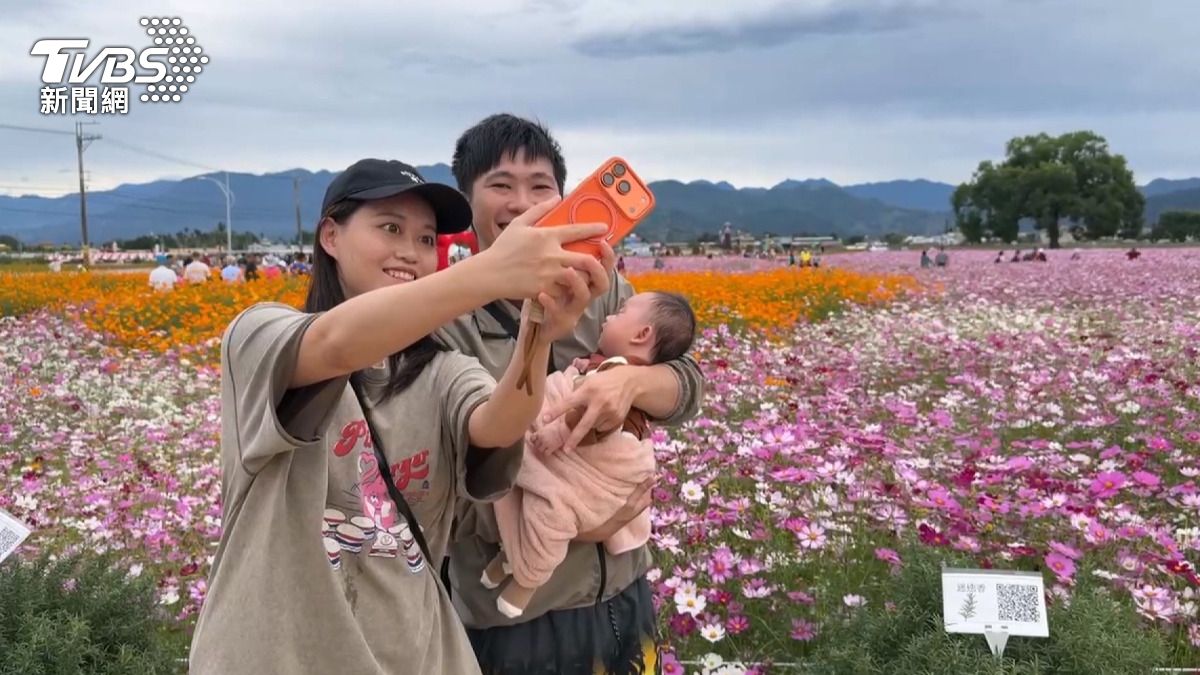 擔心颱風過後花朵可能就不見了,因此決定在颱風來臨前先來欣賞。(圖/TVBS)