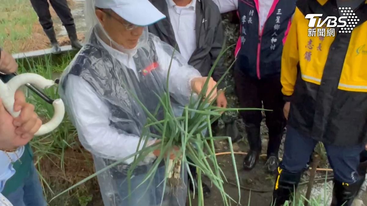 菜籃族注意!鳳凰颱風釀菜價波動 宜蘭蔥價恐漲