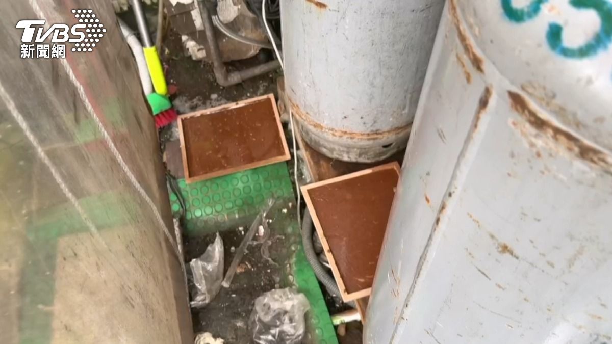 店內確實擺設有捕鼠籠和黏鼠板,顯示店家已察覺有鼠患問題。(圖/TVBS)