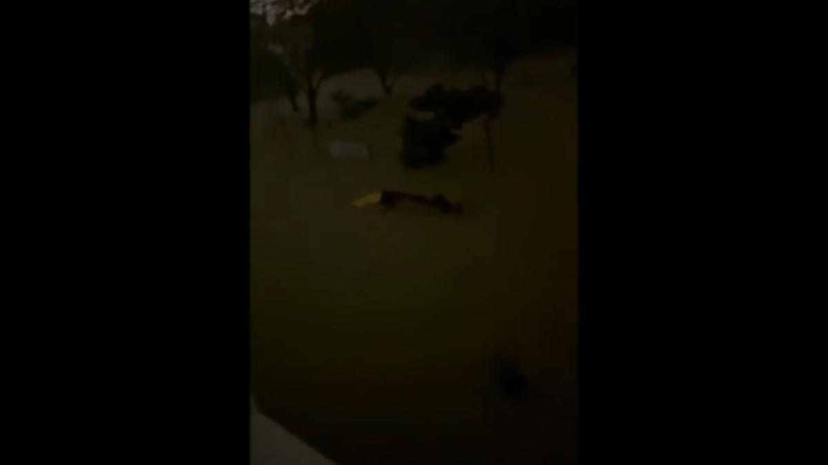 宜蘭暴雨成災,甚至有部分地方停電。(圖/TVBS)