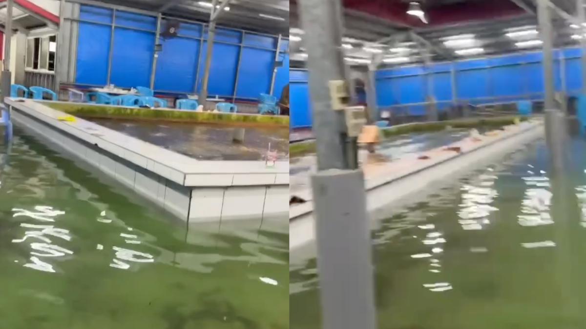 網友拍下釣蝦場淹水驚人畫面。（圖／thread網友＠dadadenny授權提供）