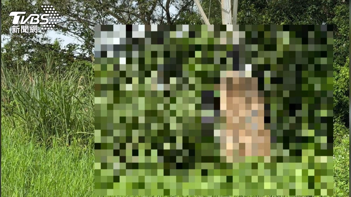 快訊/桃園虎頭山環保公園命案!男子詭異陳屍電塔下 死因待查