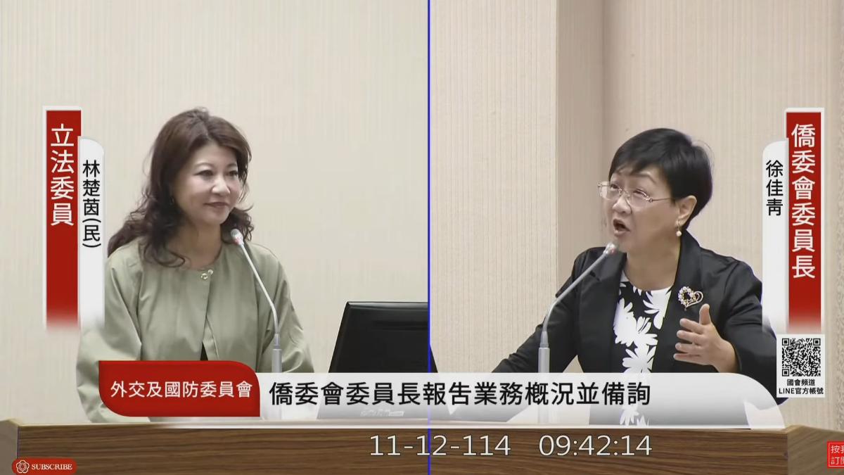 僑委會委員長徐佳青今稱新加坡可能列入旅外警示範圍。（圖／翻攝自國會頻道）