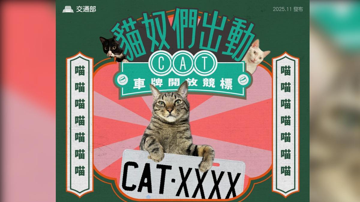 愛貓不嫌貴!「CAT8888」車牌57.6萬落槌 連號牌價皆破10萬