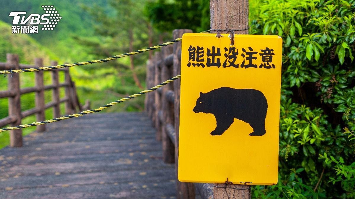 日本近期深受逐漸升溫的「熊害」影響。(示意圖/達志影像shutterstock)