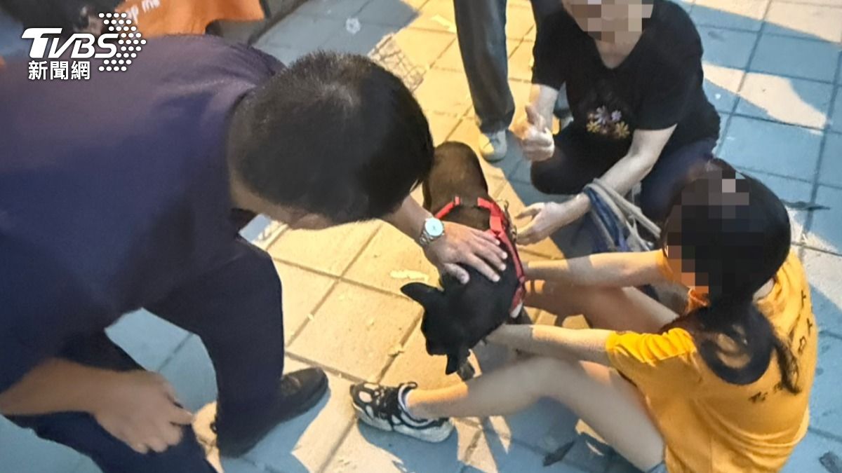 調閱監視器時，一隻黑狗突然飛奔經過門口。（圖／TVBS）