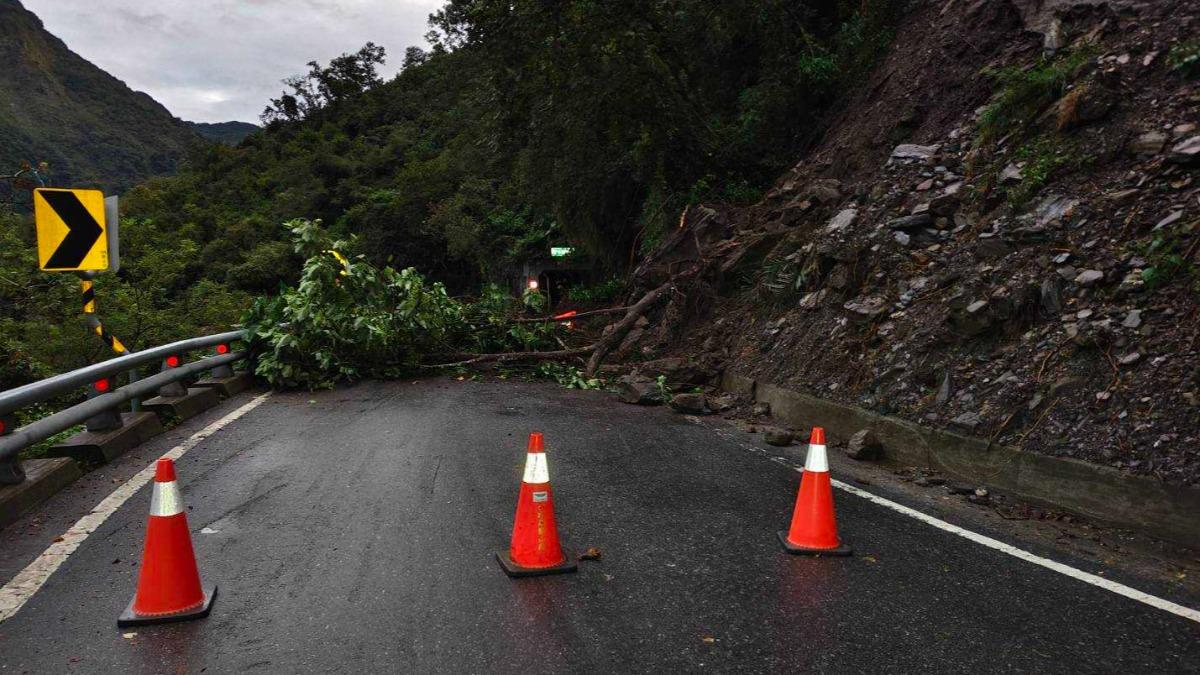 台20線邊坡落石，樹木遭連根拔起。（圖／翻攝自公路局網站）