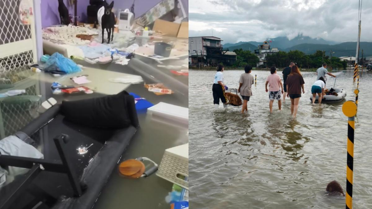 楊懷民宜蘭狗園灌洪水!上百毛孩泥水中發抖 協會搏命搶救全身傷