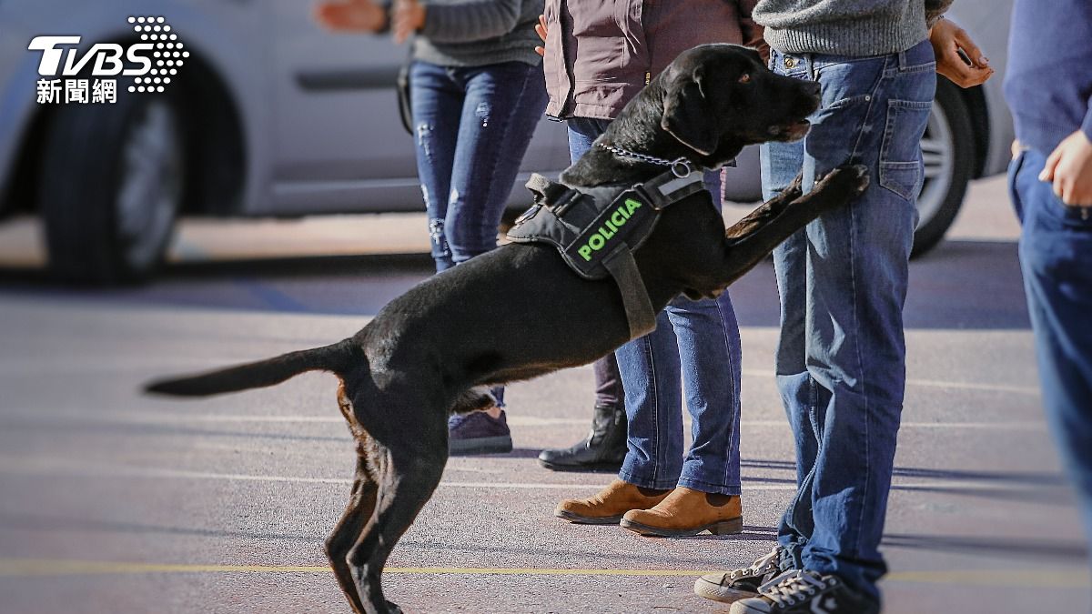緝毒犬助攻!少年警搜永康倉庫 查獲K他命162包、咖啡包滿倉