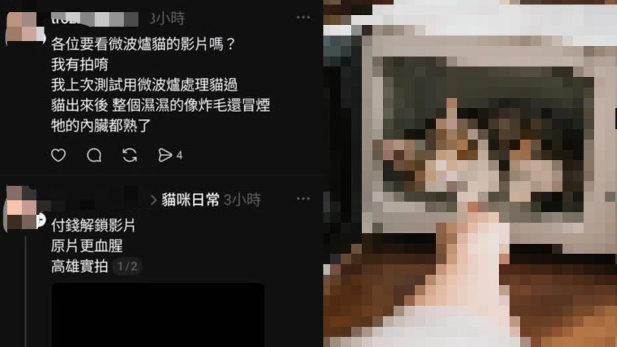 微波爐虐貓?PO網炫「內臟熟了」動保處找嘸5領養貓 他稱:公園放生