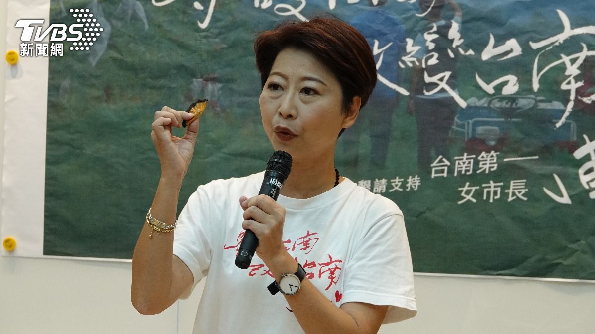 綠委陳亭妃今早舉行記者會,公布第二支競選影片。(圖/TVBS)