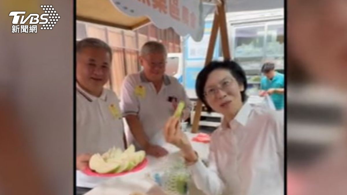 民進黨立委林岱樺。(圖/TVBS)